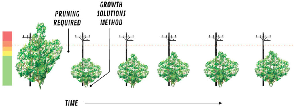 The growth solutions method