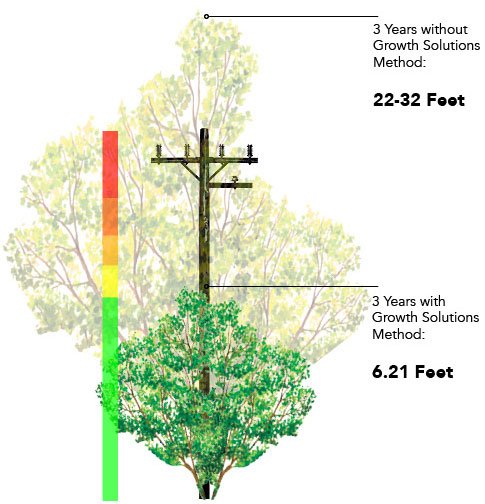 Comparison of tree growth with and without using TGRs