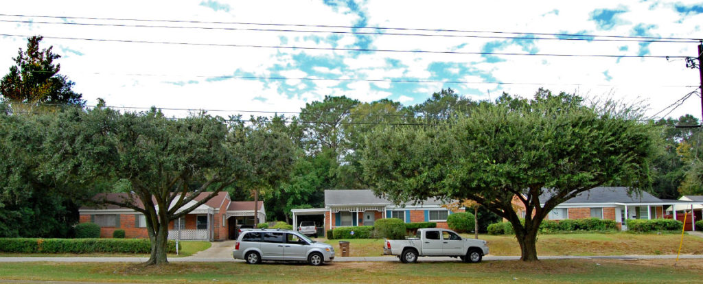 Powerlines and Trees in a neighborhood